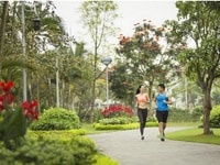 Trần Qúy Cáp Buôn Ma Thuột Đăk Lăk Trần Qúy Cáp Buôn Ma Thuột Đăk Lăk