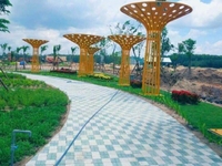 Đất nền kcn mỹ phước 1 shr tc 100 % giá tốt Đất nền kcn mỹ phước 1 shr tc 100 % giá tốt