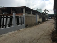 Bán nhà mặt tiền đường xe hơi 9 chỗ-1 xẹc Lý Thái Tổ xã Long Tân 80m Bán nhà mặt tiền đường xe hơi 9 chỗ-1 xẹc Lý Thái Tổ xã Long Tân 80m