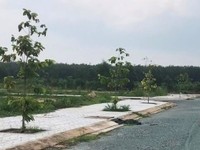 Cam kết lợi nhuận 20%/6 tháng tại dự án đất nền Long Thành Cam kết lợi nhuận 20%/6 tháng tại dự án đất nền Long Thành