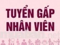 Công ty tuyển nhân viên kế toán làm việc tại văn phòng Công ty tuyển nhân viên kế toán làm việc tại văn phòng