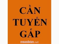 Sinh viên đâu? Muốn kiếm tiền thì bay vào. Sinh viên đâu? Muốn kiếm tiền thì bay vào.