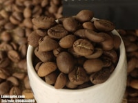 Cà phê Robusta nguyên chất đặc biệt, giá bán sỉ cho các nhà kinh doanh Cà phê Robusta nguyên chất đặc biệt, giá bán sỉ cho các nhà kinh doanh