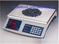 Cân đếm điện tử TC II 4103 Mettller Toledo, cân an thịnh Cân đếm điện tử TC II 4103 Mettller Toledo, cân an thịnh