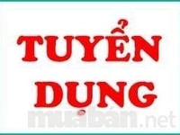 Cần tuyển gấp 02 nhân viên văn phòng và hành chính Cần tuyển gấp 02 nhân viên văn phòng và hành chính
