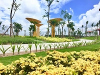 Bán suất nội bộ dự án Phúc An Garden, giá 660, DT 100m2 Chiết khấu 5% Bán suất nội bộ dự án Phúc An Garden, giá 660, DT 100m2 Chiết khấu 5%