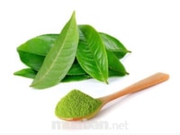 Cần gấp 5 bạn Nữ phụ bán bột matcha Tại chi nhánh Cần gấp 5 bạn Nữ phụ bán bột matcha Tại chi nhánh