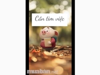 Mình cần 04 người phụ bán hàng,nhanh nhẹn từ 18- 28 tuổi Mình cần 04 người phụ bán hàng,nhanh nhẹn từ 18- 28 tuổi