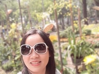 Phúc 11 năm KN, Nhận báo cáo thuế, sổ sách kế toán, quyết toán thuế Phúc 11 năm KN, Nhận báo cáo thuế, sổ sách kế toán, quyết toán thuế