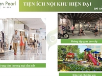 Chính chủ bán căn tầng cao 2 ngủ View bể bơi đẹp nhất dự án Chính chủ bán căn tầng cao 2 ngủ View bể bơi đẹp nhất dự án