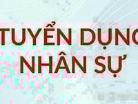 Siêu thị mini cần tuyển thêm 2 nam/ nữ thu ngân phụ tính tiền tại quầy Siêu thị mini cần tuyển thêm 2 nam/ nữ thu ngân phụ tính tiền tại quầy