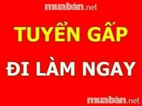 Cần gấp nam nữ bán hàng và kiểm tra chất lượng hàng hóa tại siêu thị Cần gấp nam nữ bán hàng và kiểm tra chất lượng hàng hóa tại siêu thị