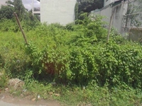 Đất Nền Vị Trí Đẹp Thuận Tiện Đầu Tư Kinh Doanh Đã Có Sổ Riêng Đất Nền Vị Trí Đẹp Thuận Tiện Đầu Tư Kinh Doanh Đã Có Sổ Riêng