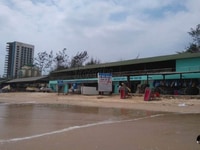 Tấm lợp sinh thái kháng hóa chất Tấm lợp sinh thái kháng hóa chất