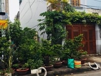 Cần bán lô đất MT đường T8, P. Tây Thạnh, Q. Tân Phú, 4 x 25m. 6.6 tỷ Cần bán lô đất MT đường T8, P. Tây Thạnh, Q. Tân Phú, 4 x 25m. 6.6 tỷ