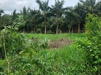 Cần bán lô đất MT đường Trương Văn Đa ấp 1 Xã Tân Nhựt, Bình Chánh Cần bán lô đất MT đường Trương Văn Đa ấp 1 Xã Tân Nhựt, Bình Chánh