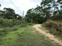 Bán đất nghỉ dưỡng xã ba trại, lưng tựa núi view cánh đồng Bán đất nghỉ dưỡng xã ba trại, lưng tựa núi view cánh đồng