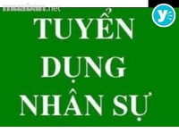 Bổ sung nhân viên thu ngân trực quầy ở cửa hàng làm việc giờ hành chín Bổ sung nhân viên thu ngân trực quầy ở cửa hàng làm việc giờ hành chín