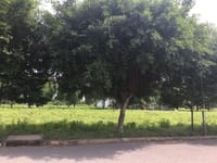 Chính chủ bán miếng đất 6x25m huyện Bình Chánh, giá 2.3 tỷ Chính chủ bán miếng đất 6x25m huyện Bình Chánh, giá 2.3 tỷ