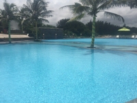 Mở bán căn hộ view trực diện biển Aloha Mũi Né cơ hội đầu tư hấp dẫn Mở bán căn hộ view trực diện biển Aloha Mũi Né cơ hội đầu tư hấp dẫn