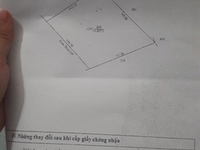 Chủ đang kẹt tiền chữa bệnh bán gấp 36 công đất chỉ 70 triệu/công HG Chủ đang kẹt tiền chữa bệnh bán gấp 36 công đất chỉ 70 triệu/công HG