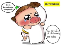 Tìm việc làm kế toán nội bộ, tổng hợp khu vực hà đông Tìm việc làm kế toán nội bộ, tổng hợp khu vực hà đông