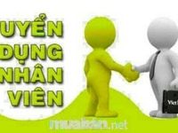 Siêu thị mini cần bổ sung gấp nhân viên bán hàng tại quầy hàng Siêu thị mini cần bổ sung gấp nhân viên bán hàng tại quầy hàng