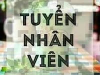Cần tuyển gấp nhân viên văn phòng (Ưu tiên sinh viên mới ra trường) Cần tuyển gấp nhân viên văn phòng (Ưu tiên sinh viên mới ra trường)