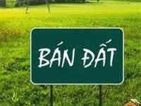 Chuyển nhượng đất mặt đường 10 Chuyển nhượng đất mặt đường 10