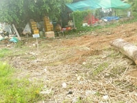 Cực rẻ! duy nhất 1 lô 840 m2, thổ, đường 5m, 1.3 tỷ, Tân Trụ, Long An. Cực rẻ! duy nhất 1 lô 840 m2, thổ, đường 5m, 1.3 tỷ, Tân Trụ, Long An.