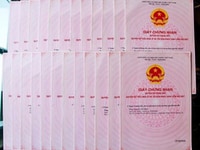 Nhận đặt chỗ 50tr dự án mới nhất tại Quảng Bình, sổ đỏ từng lô Nhận đặt chỗ 50tr dự án mới nhất tại Quảng Bình, sổ đỏ từng lô