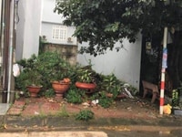 Cần bán gấp lô đất 110m2 mặt tiền Đinh Tiên Hoàng Cần bán gấp lô đất 110m2 mặt tiền Đinh Tiên Hoàng