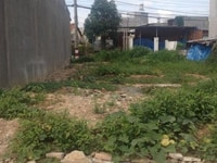 Chính chủ bán lô đất mặt tiền Nguyễn Hữu Tiến, Tân Phú, 80m2, SHR Chính chủ bán lô đất mặt tiền Nguyễn Hữu Tiến, Tân Phú, 80m2, SHR