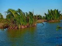 Đất cách Phạm Thái Bường 200m, giá siêu rẻ chỉ 2tr/m2, có thương lượng Đất cách Phạm Thái Bường 200m, giá siêu rẻ chỉ 2tr/m2, có thương lượng