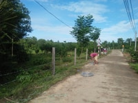 Bán đất trồng cây 9143 m2 có 300m thổ cư Bán đất trồng cây 9143 m2 có 300m thổ cư