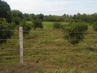Bán đất trồng cây 9143 m2 có 300m thổ cư Bán đất trồng cây 9143 m2 có 300m thổ cư