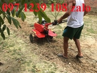 Máy xới đất gia đình Honda GX200 bán rẻ như cho, cực hấp dẫn Máy xới đất gia đình Honda GX200 bán rẻ như cho, cực hấp dẫn