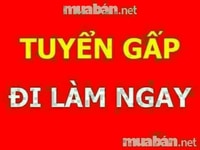 Cần tuyển nhân viên giao hàng cho bách hóa mini mới khai trương Cần tuyển nhân viên giao hàng cho bách hóa mini mới khai trương