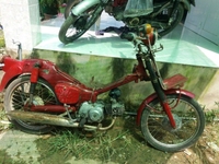 Honda máy MD 70 chở hàng - có cavet đi đường Honda máy MD 70 chở hàng - có cavet đi đường