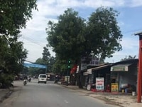 Mua đất tặng vàng niềm vui cho tất cả mọi người Mua đất tặng vàng niềm vui cho tất cả mọi người