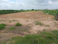 Cần ra gấp lô đất vườn đường Tỉnh Lộ 15, DT: 15x39m, Giá: 1,3 tỷ. Cần ra gấp lô đất vườn đường Tỉnh Lộ 15, DT: 15x39m, Giá: 1,3 tỷ.