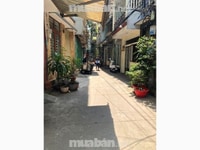 Cho thuê nhà hẻm xe hơi Đường Tô Hiến Thành Cho thuê nhà hẻm xe hơi Đường Tô Hiến Thành