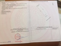 Cho thuê 3 lô đất khu đô thị sinh thái Hoà Xuân, Cẩm Lệ Cho thuê 3 lô đất khu đô thị sinh thái Hoà Xuân, Cẩm Lệ