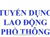 Cần gấp người phụ bán hàng tại chi nhánh( vui vẻ, nhiệt huyết ) Cần gấp người phụ bán hàng tại chi nhánh( vui vẻ, nhiệt huyết )
