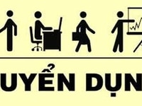 Nếu ứng viên tìm việc, tôi sẵn sàng đáp ứng Nếu ứng viên tìm việc, tôi sẵn sàng đáp ứng