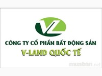 Công ty BĐS Vland QT cần tuyển 02 TKHĐQT, Trợ lý PKD Công ty BĐS Vland QT cần tuyển 02 TKHĐQT, Trợ lý PKD