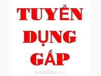 Tuyển nam/nữ làm giờ hành chính Tuyển nam/nữ làm giờ hành chính