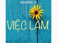 Phụ mình bán cafe, bột dinh dưỡng hương matcha, chooclate Làm việc giờ Phụ mình bán cafe, bột dinh dưỡng hương matcha, chooclate Làm việc giờ