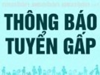 Cần Nam nữ bán cà phê gói cho tổng đại lí Cần Nam nữ bán cà phê gói cho tổng đại lí