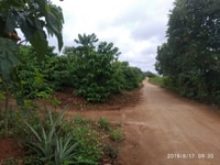 Đất thổ cư trung tâm xã đông thanh, lâm hà lâm đồng. Đất thổ cư trung tâm xã đông thanh, lâm hà lâm đồng.